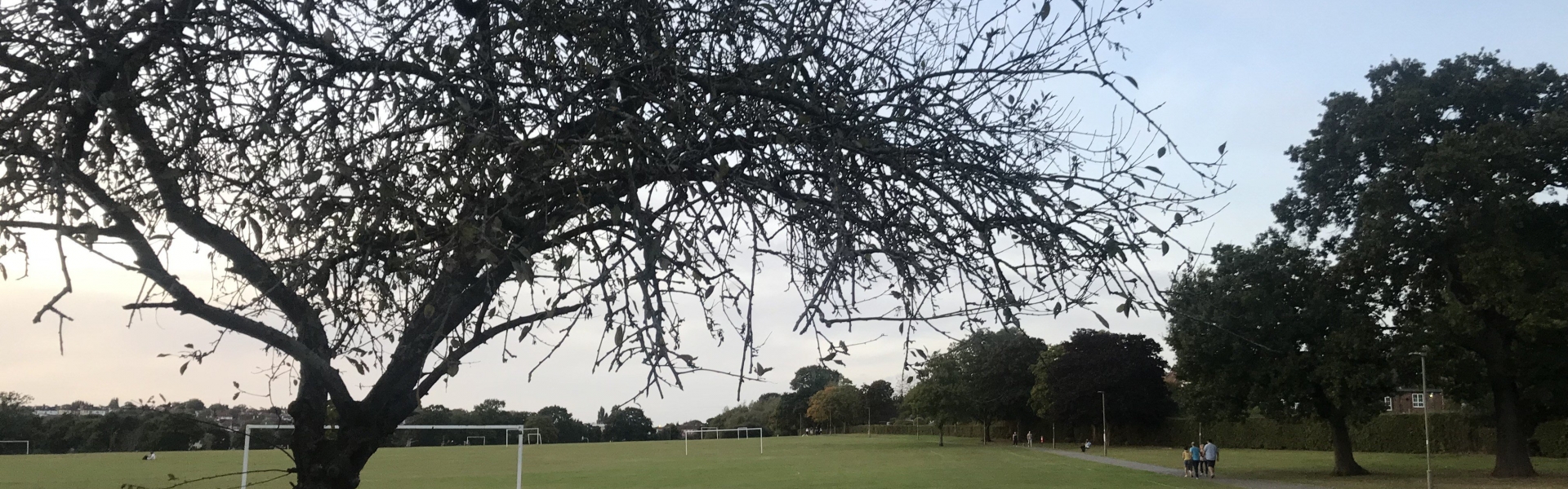 Playng fields at Underhill