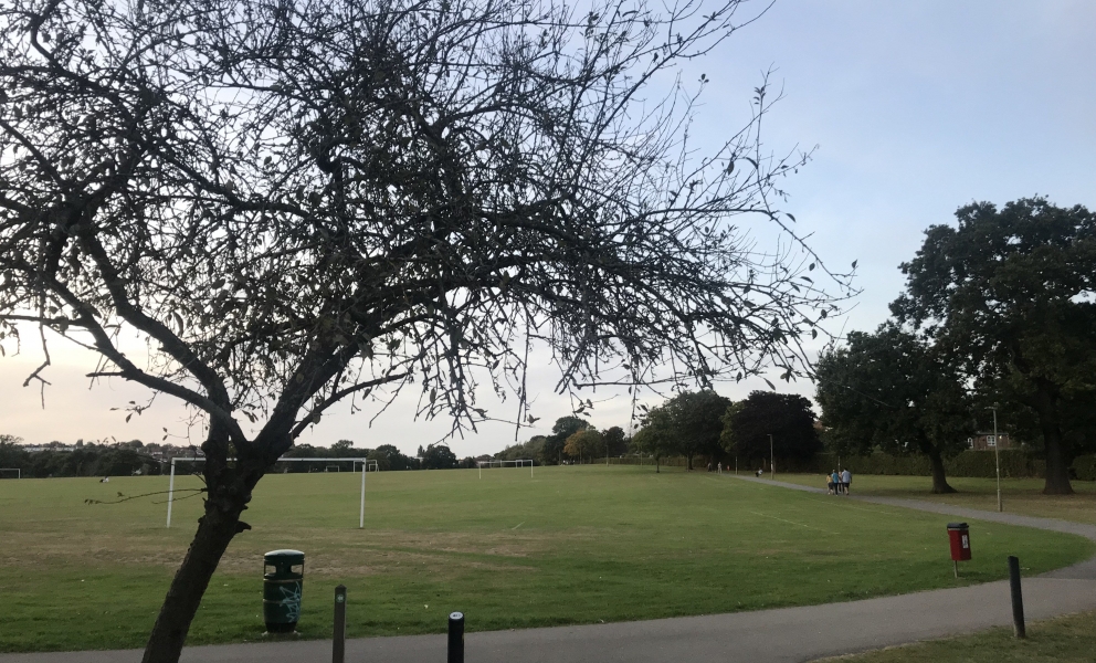 Playng fields at Underhill