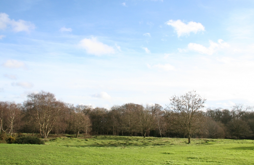 Monken Hadley Common