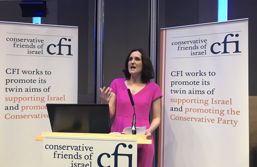 Theresa Villiers CFI