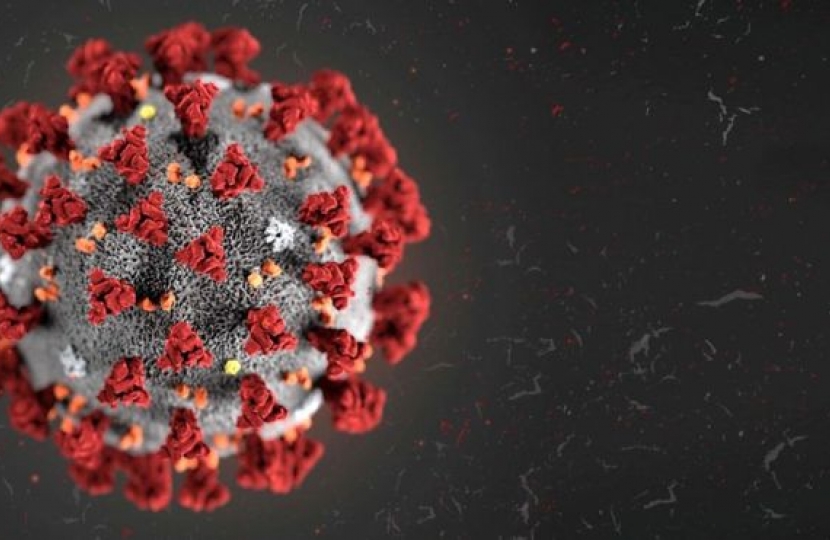 Coronavirus image