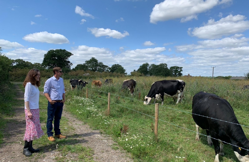 Theresa Villiers visits dairy farm in Hertfordshire