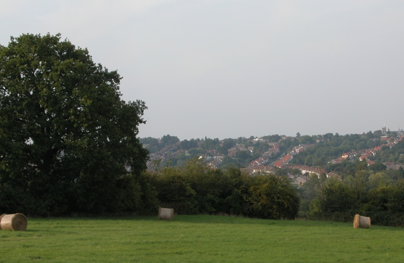 Green belt in Barnet