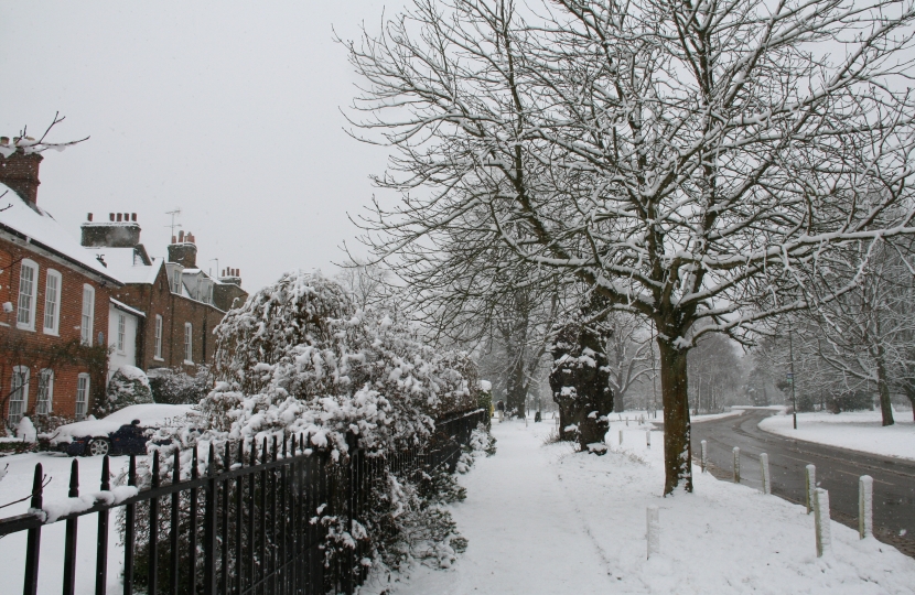 A snow-covered Hadley Green in Barnet