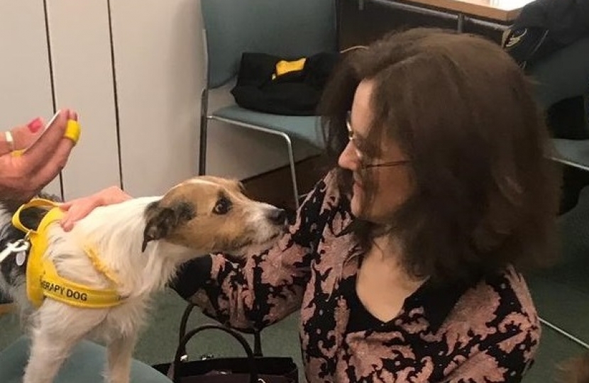 Theresa Villiers MP meets therapy dogs