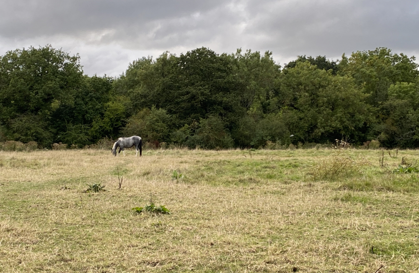 Green belt field in Barnet threatened with development