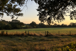 Fields in Arkley