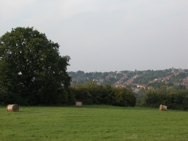 View of Barnet green belt