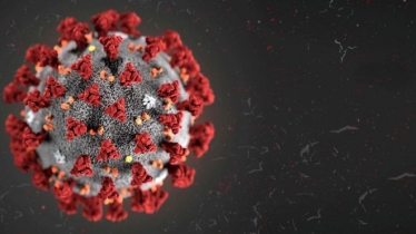 Coronavirus image