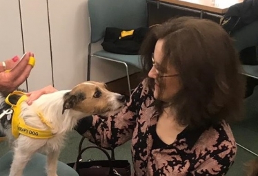 Theresa Villiers MP meets therapy dogs