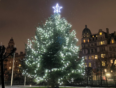 Christmas tree in Parliament 2022