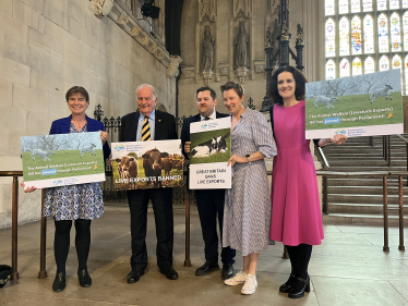 Theresa Villiers and MPs celebrate victory in campaign to end live exports